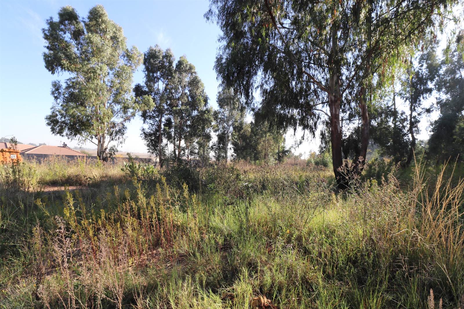 1178 m² Land available in Krugersrus photo number 5