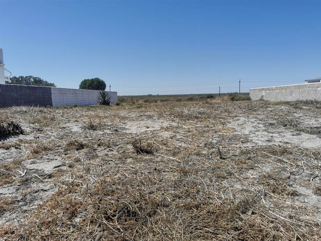 800 m² Land available in Dwarskersbos photo number 5