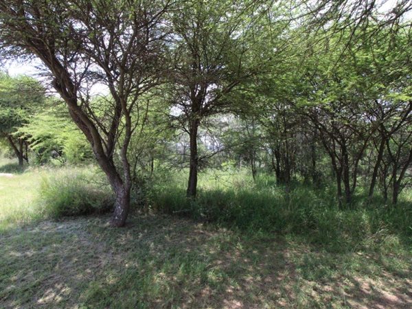 1336 m² Land available in Koro Creek Golf Estate