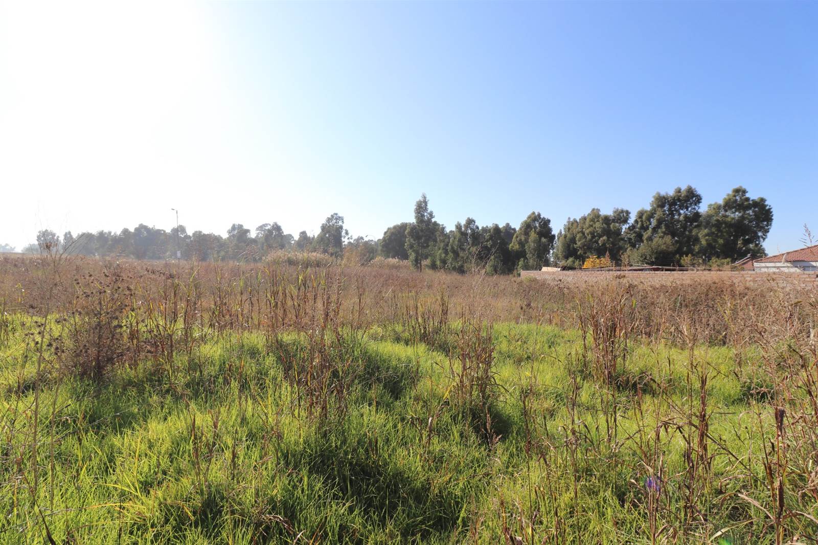 958 m² Land available in Krugersrus photo number 6