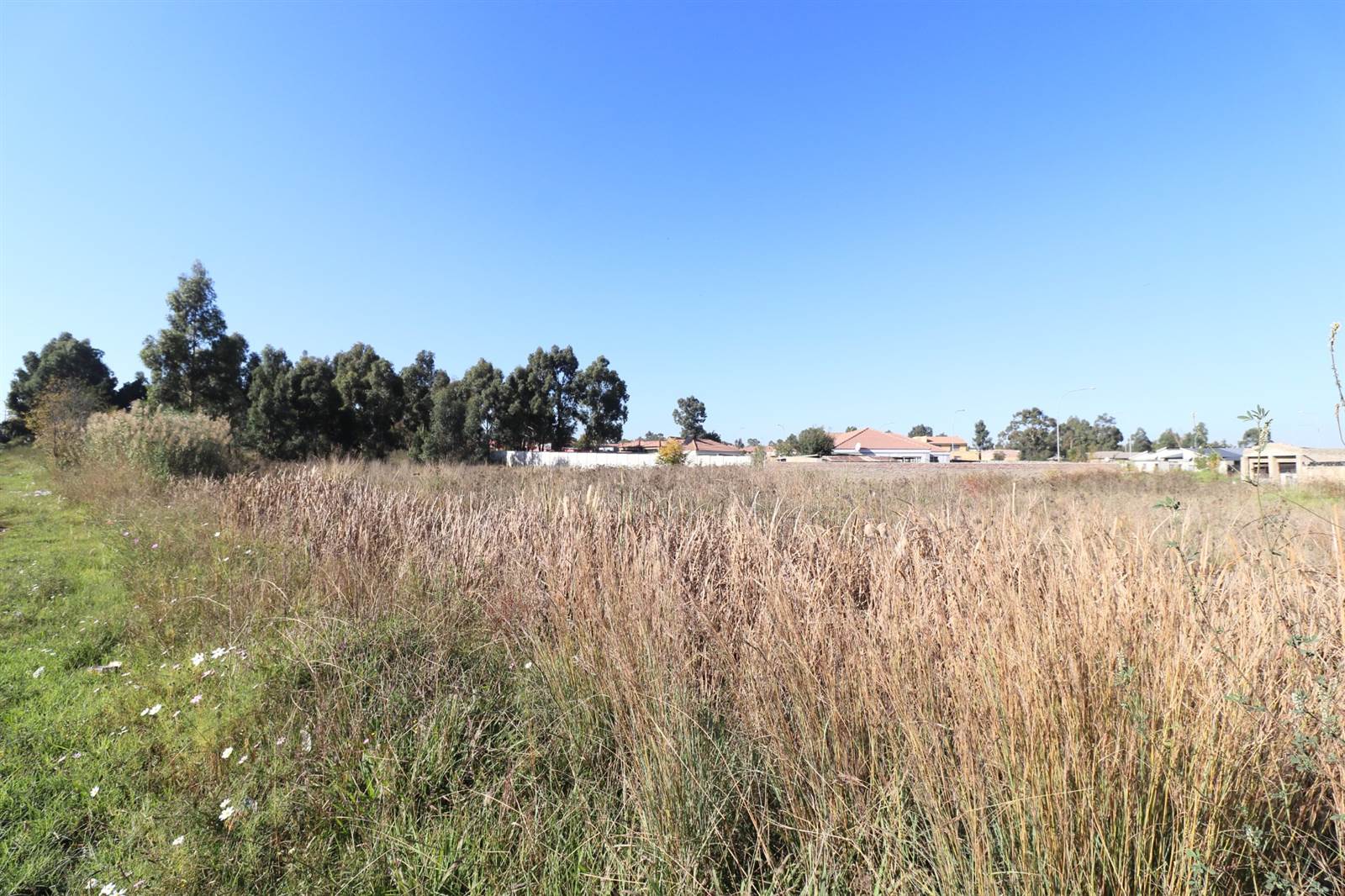 958 m² Land available in Krugersrus photo number 2