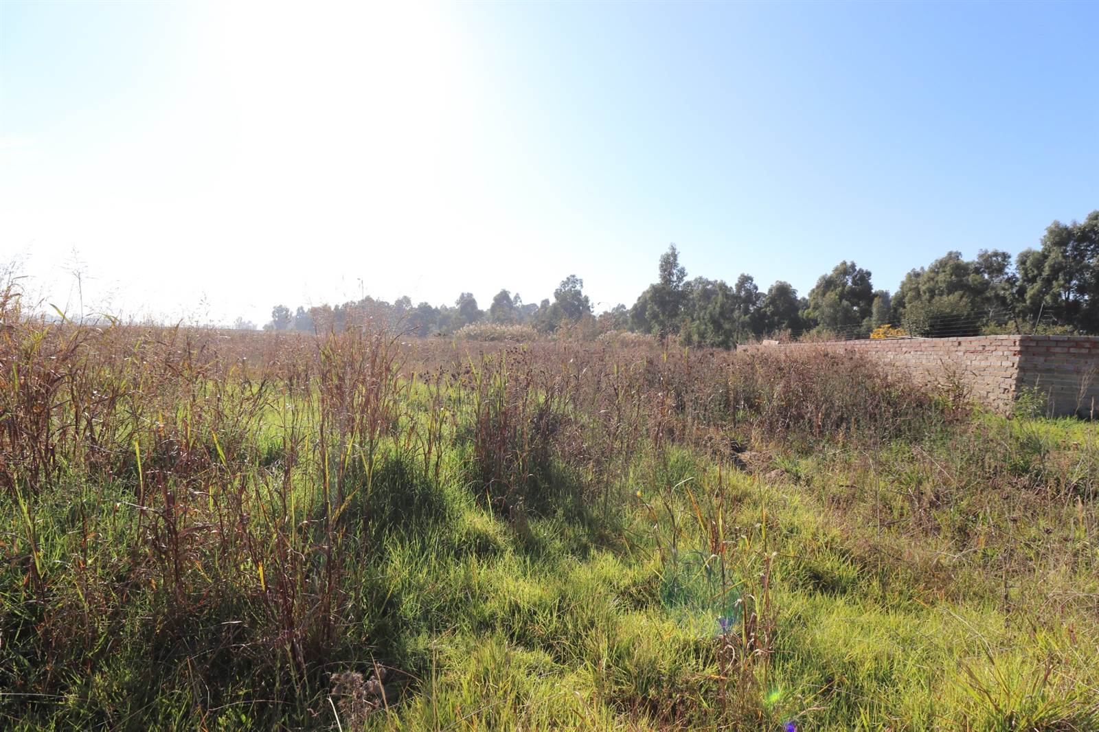 958 m² Land available in Krugersrus photo number 5