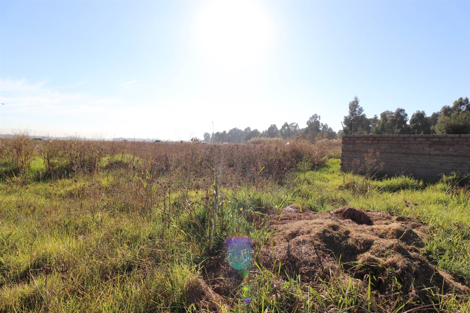 958 m² Land available in Krugersrus photo number 4
