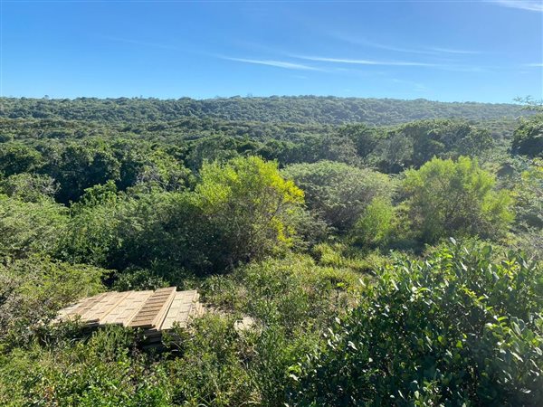 982 m² Land available in Beachview