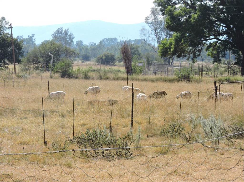 9 ha Smallholding in Groot Marico photo number 23