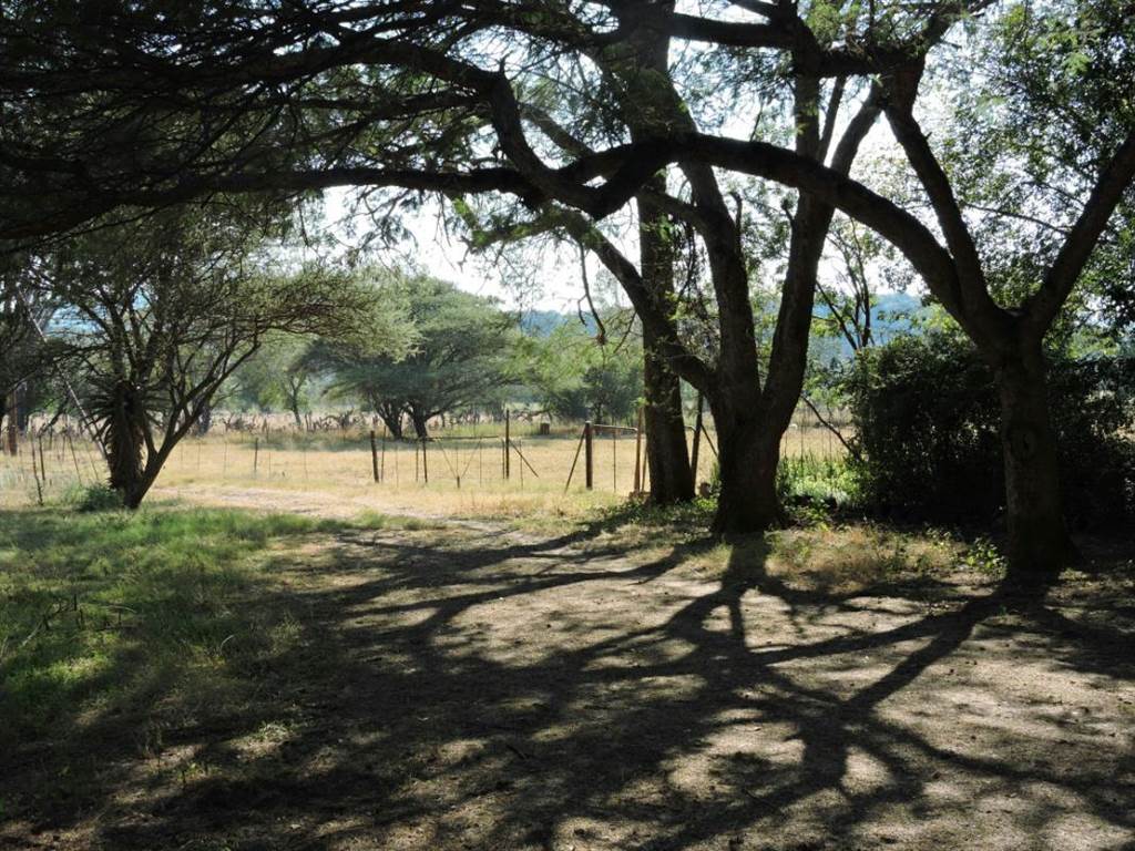 9 ha Smallholding in Groot Marico photo number 5