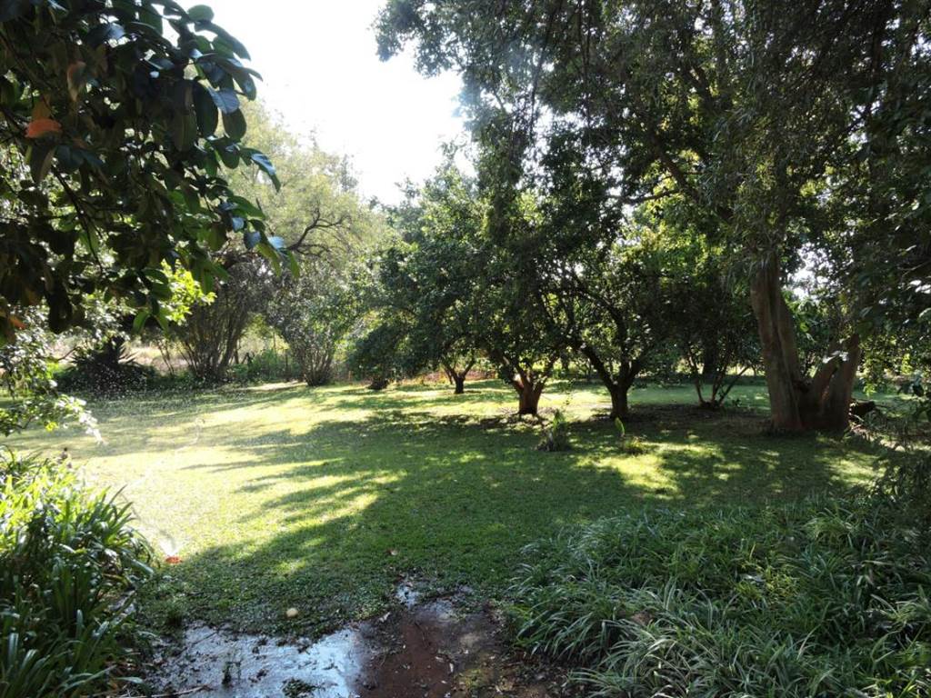 9 ha Smallholding in Groot Marico photo number 19