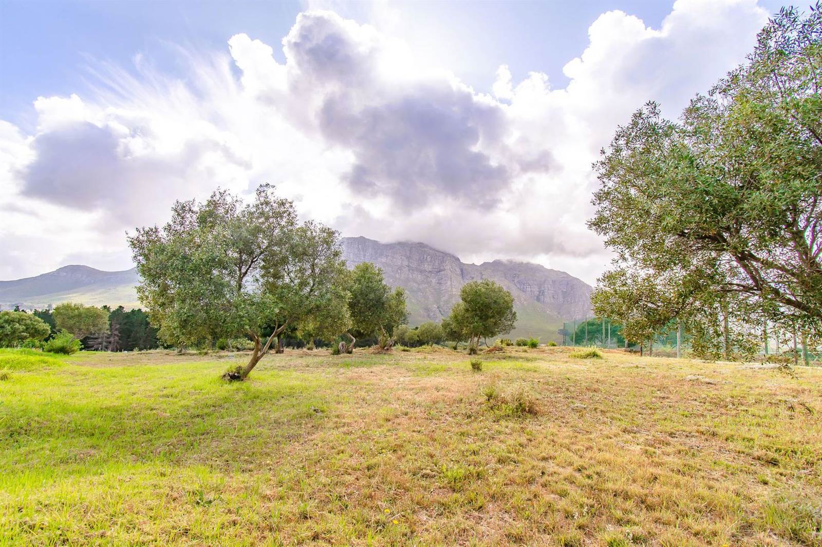 1096 m² Land available in La Pastorale photo number 3