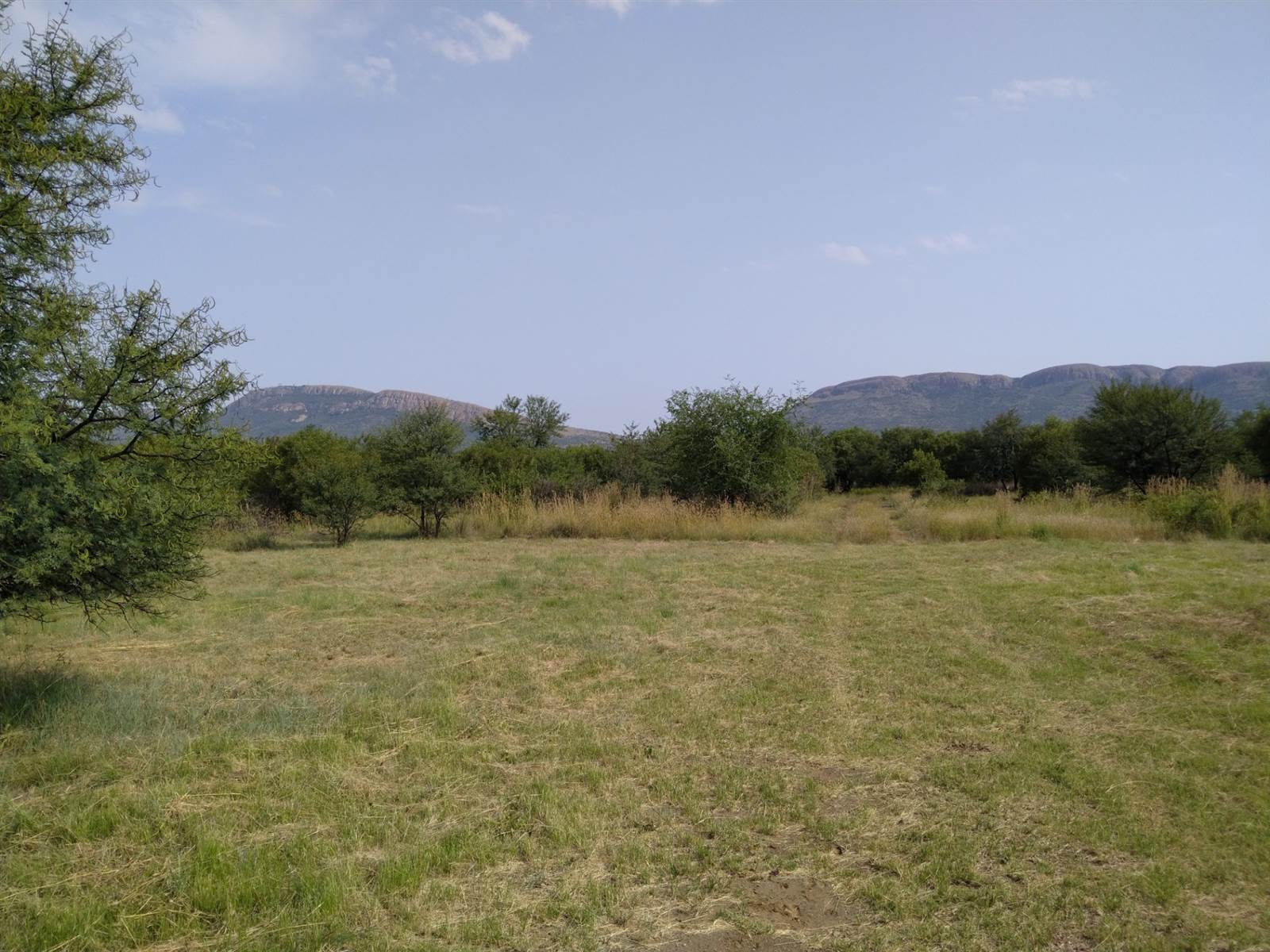 1301 m² Land available in La Camargue photo number 2