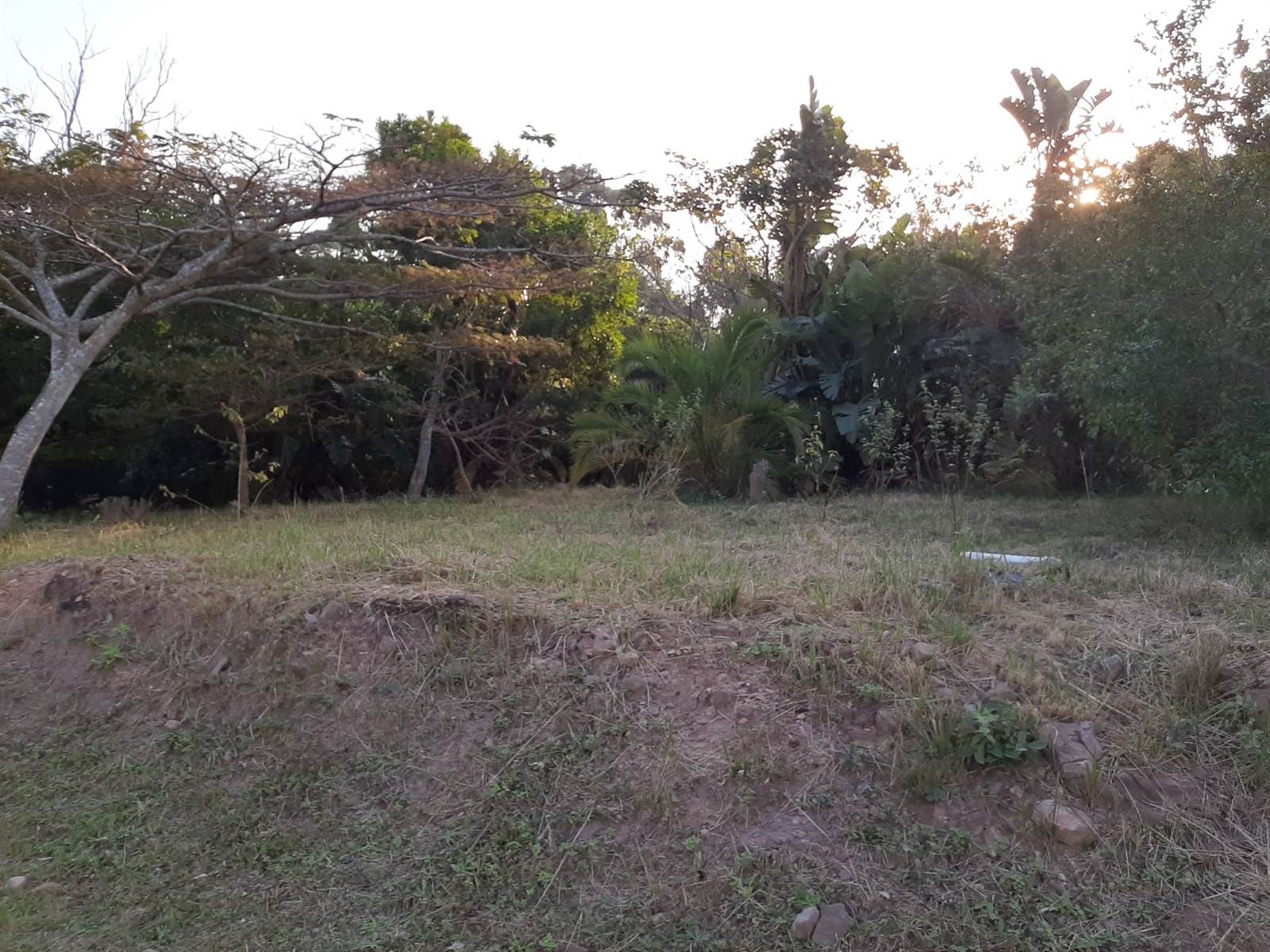 516 m² Land available in Pennington photo number 6