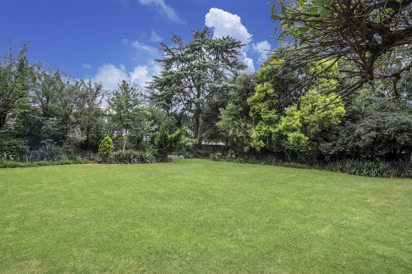 854 m² Land available in Elton Hill photo number 3