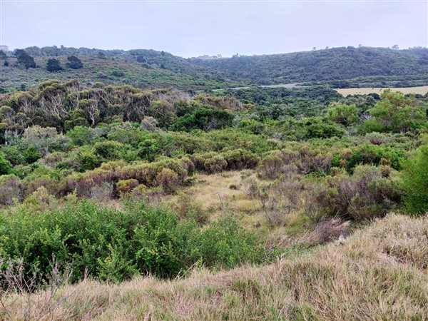 637 m² Land available in Pienaarstrand