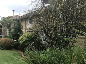 3 Bed Duplex in Three Rivers East