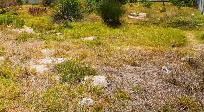 459 m² Land available in Stanford photo number 4