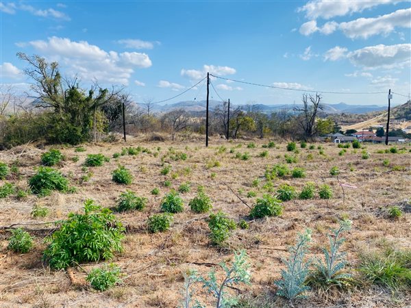295 m² Land 295 m² Land