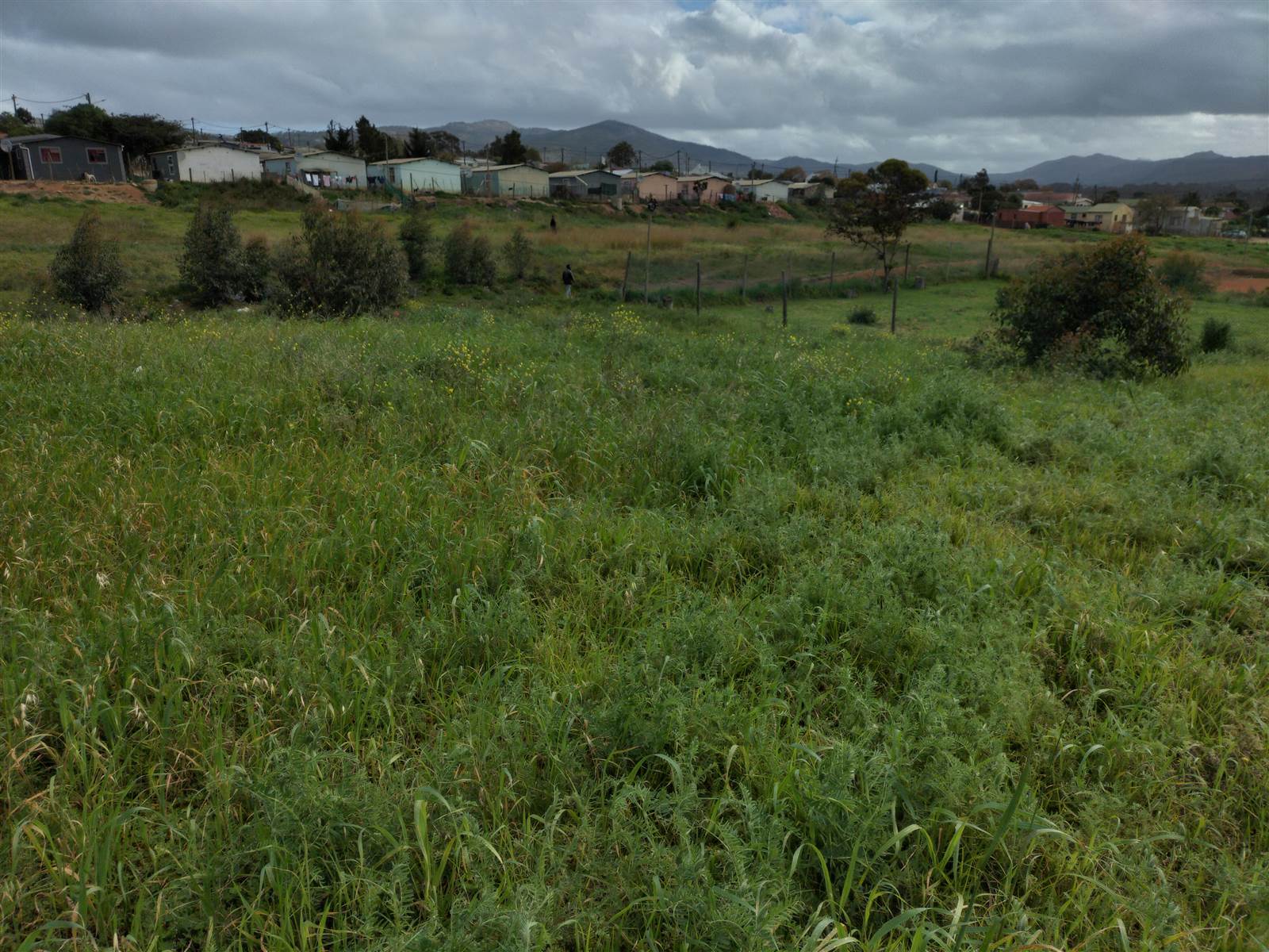 1475 m² Land available in Napier photo number 5