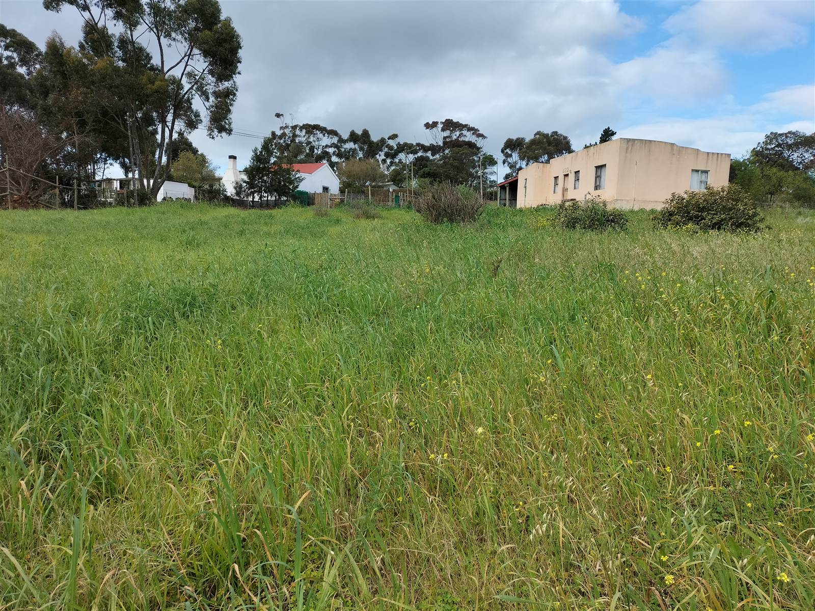 1475 m² Land available in Napier photo number 14