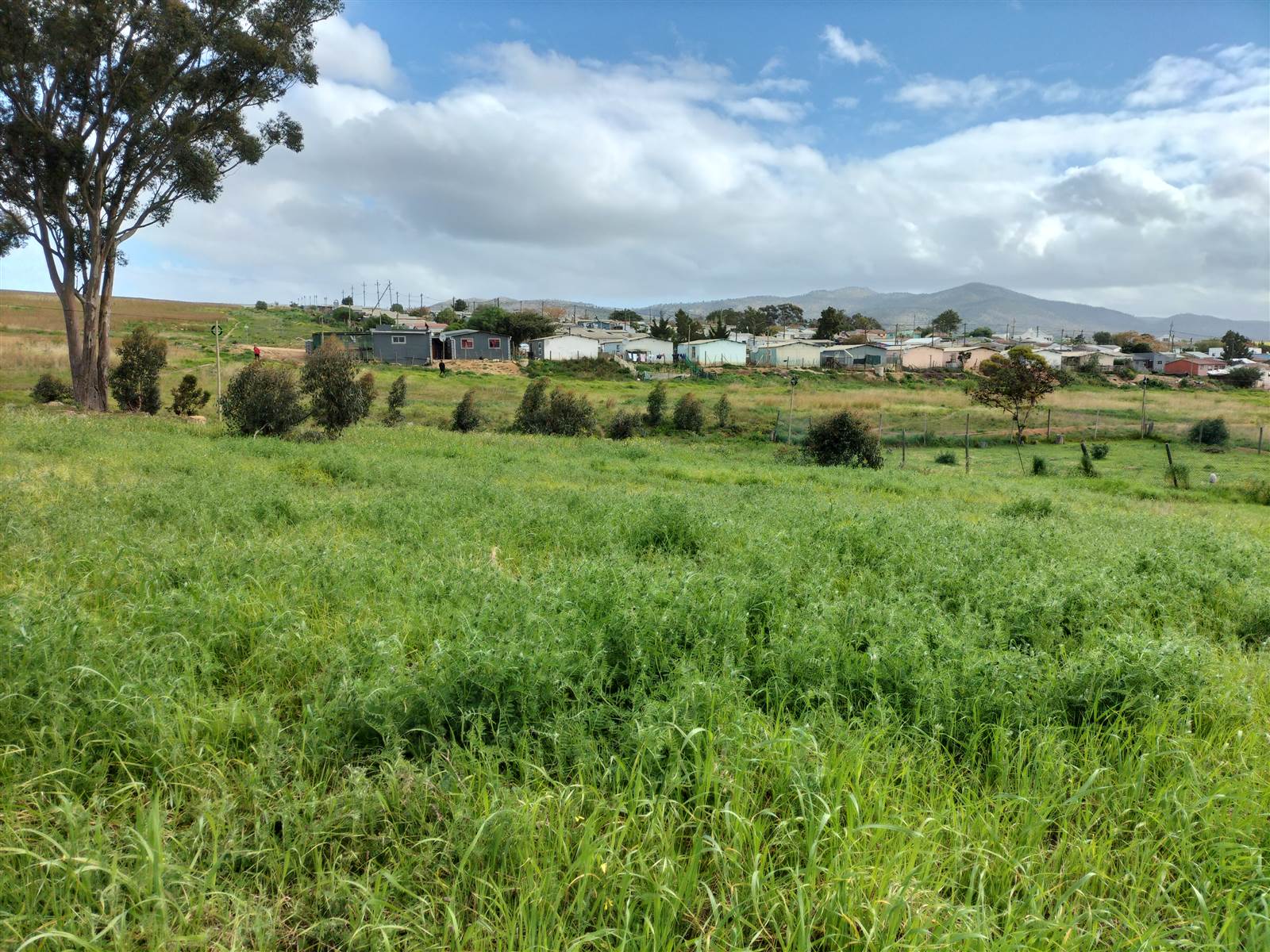 1475 m² Land available in Napier photo number 4