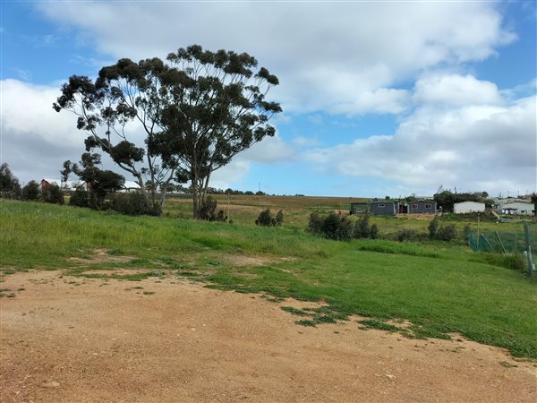 1475 m² Land available in Napier
