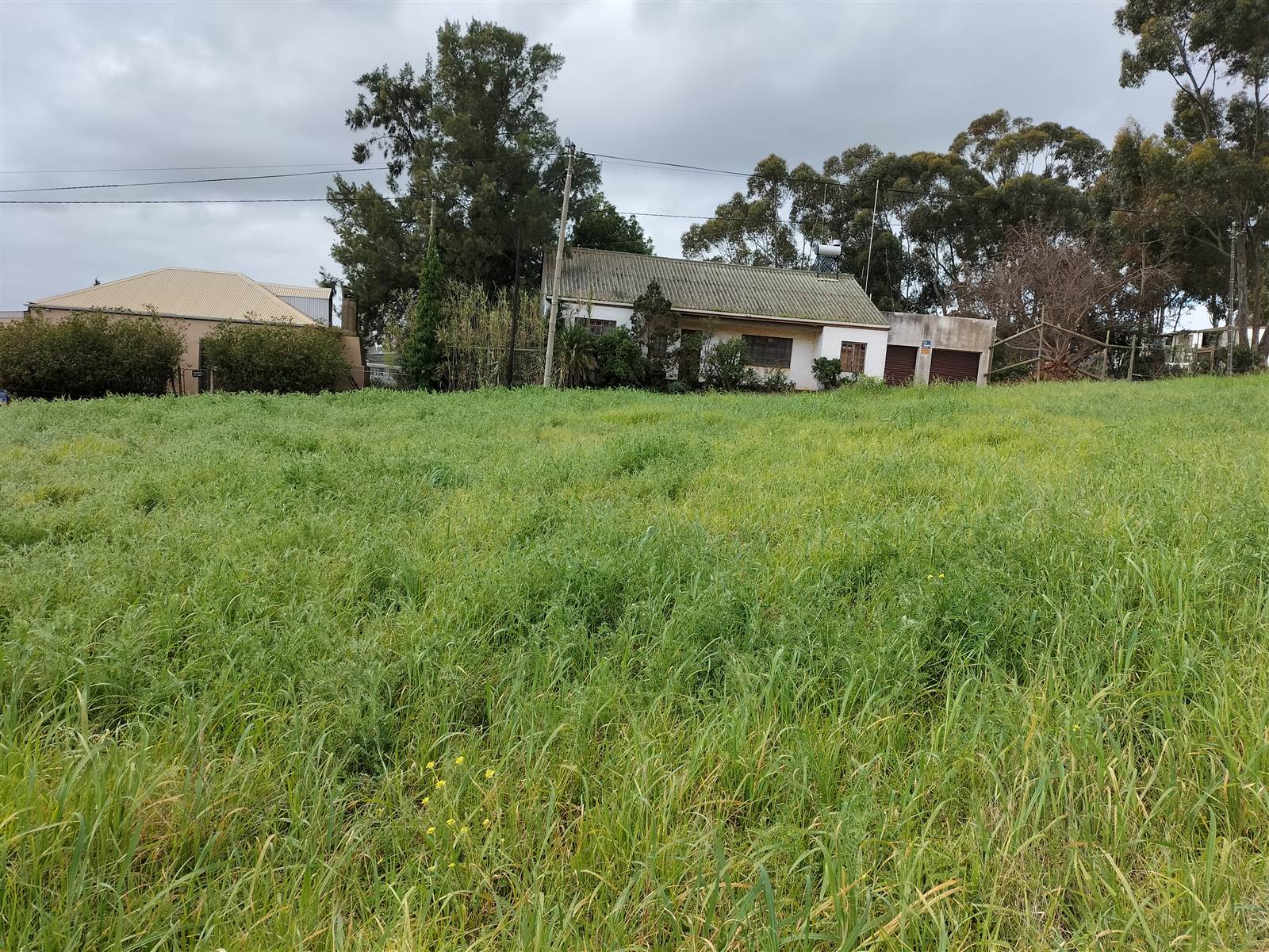 1475 m² Land available in Napier photo number 13