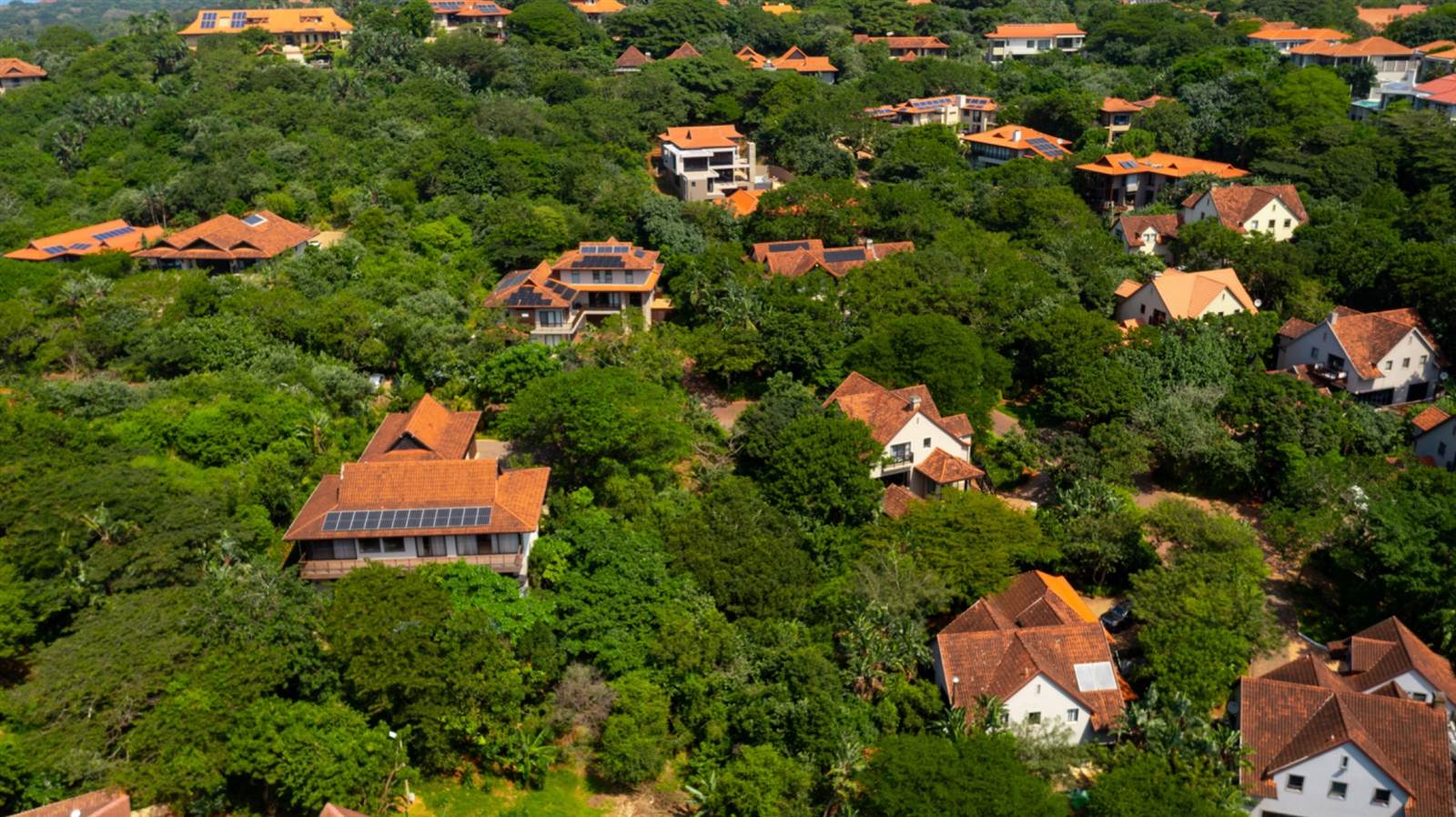 1252 m² Land available in Zimbali Estate photo number 15