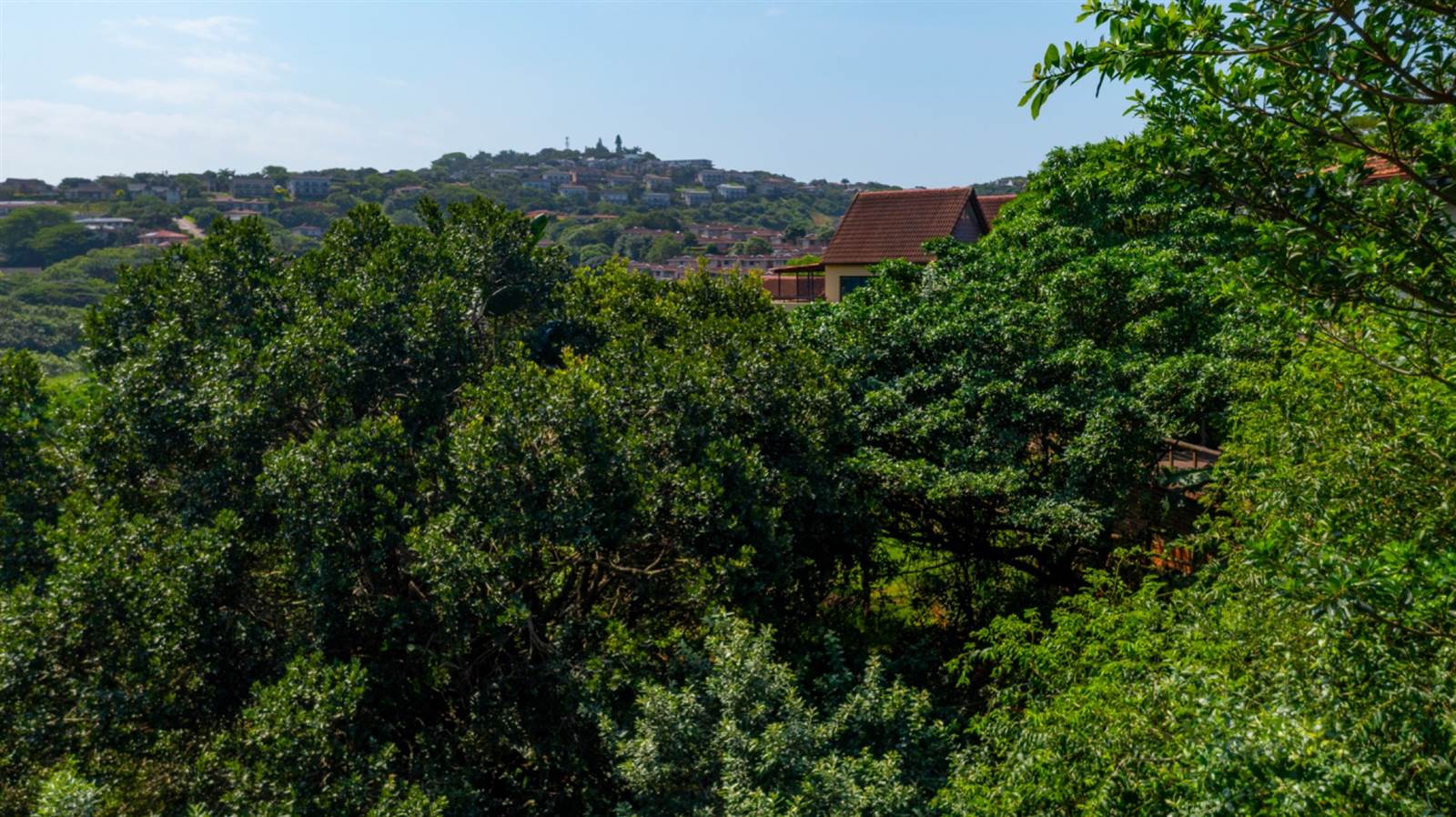 1252 m² Land available in Zimbali Estate photo number 9