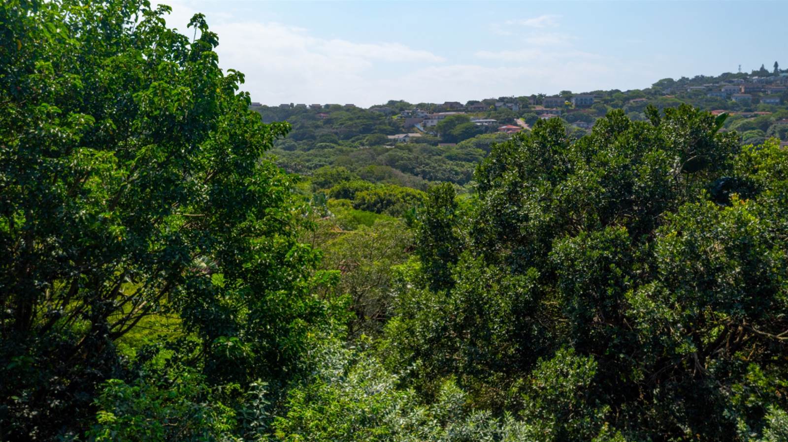 1252 m² Land available in Zimbali Estate photo number 10