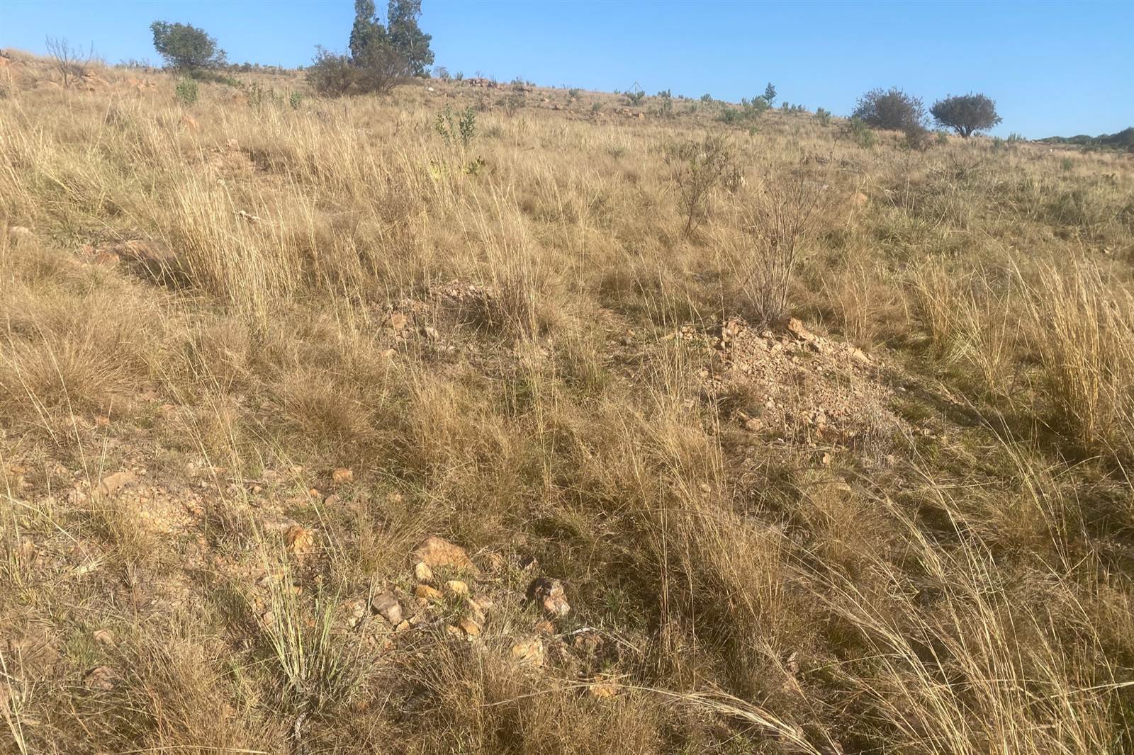 9458 m² Land available in Witbank Central photo number 8