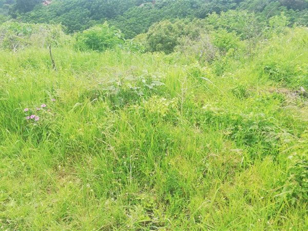 2.4 ha Land available in Marburg