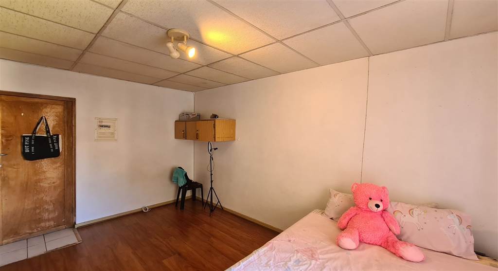 Bachelor apartment in Kanoniers Park photo number 4