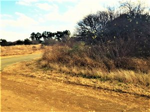 1169 m² Land available in Vaal Marina