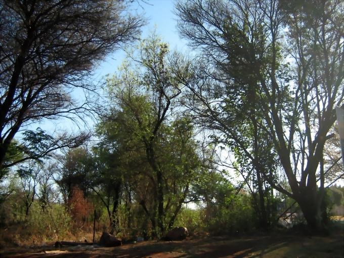 9350 m² Land available in Thabazimbi photo number 3