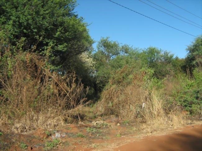 9350 m² Land available in Thabazimbi photo number 2