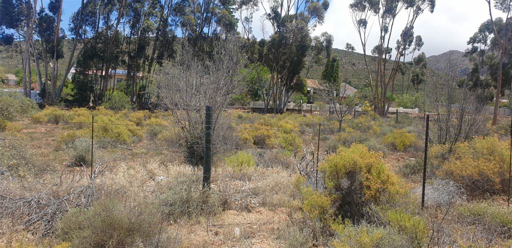1280 m² Land available in Montagu photo number 6