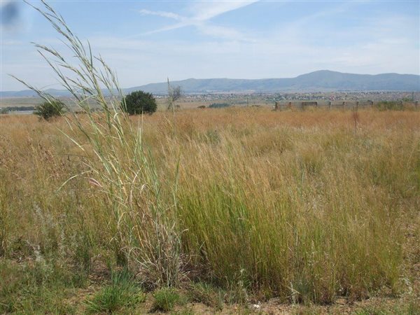 2000 m² Land available in Lydenburg