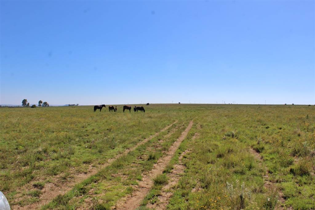 891 ha Farm in Bloemfontein Rural photo number 23