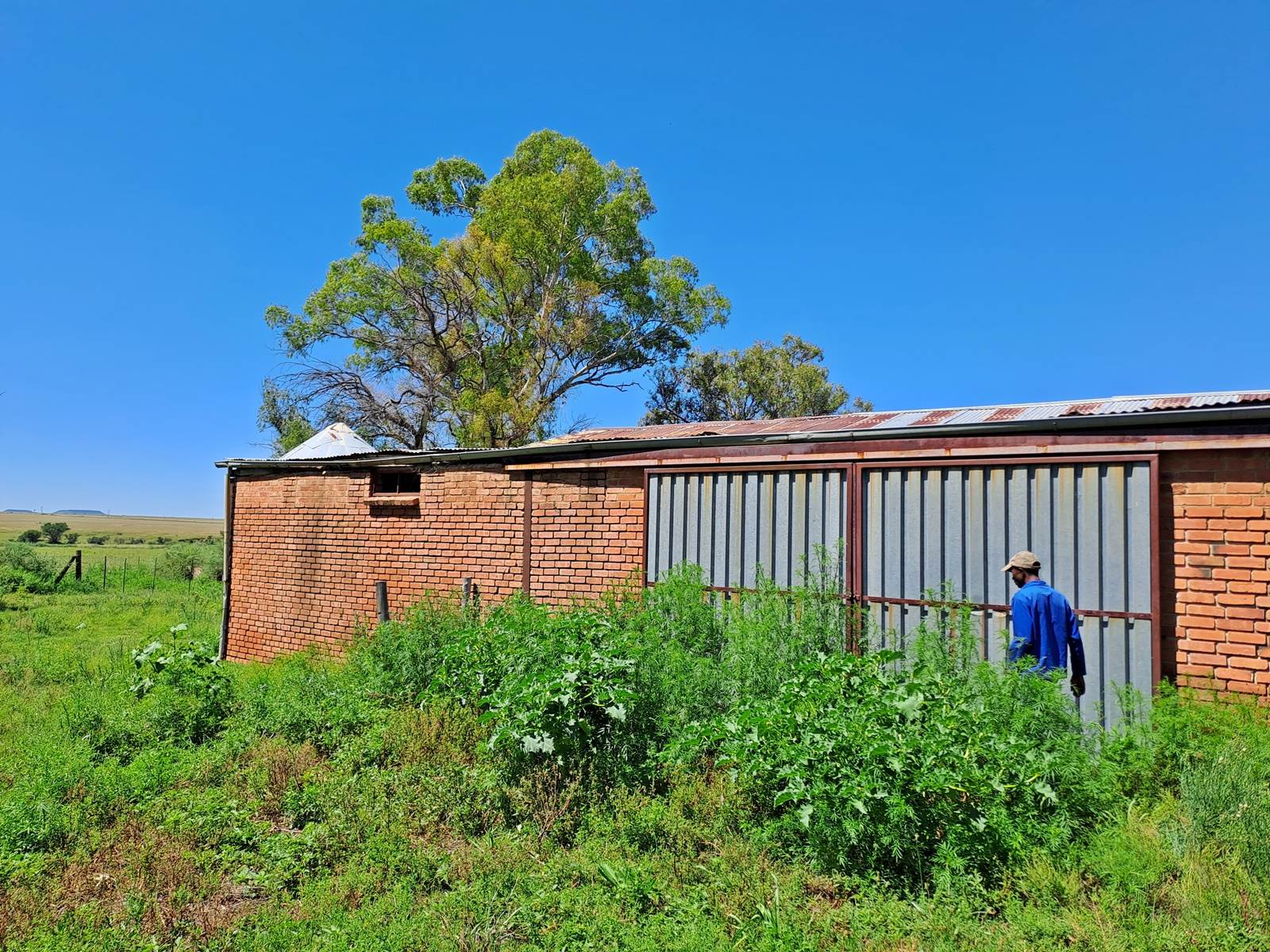 891 ha Farm in Bloemfontein Rural photo number 16