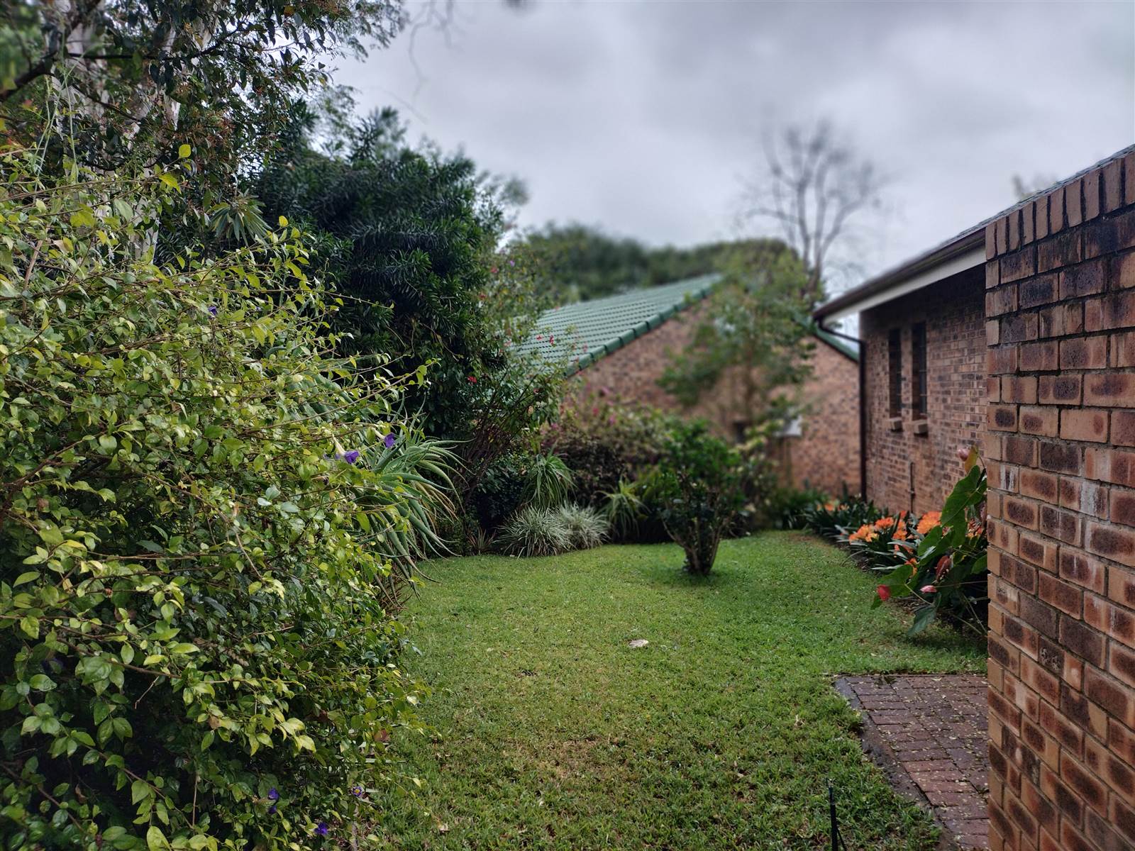 3 Bed House in Tzaneen photo number 20