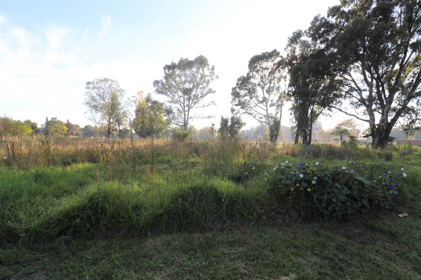8830 m² Land available in Modder East photo number 2