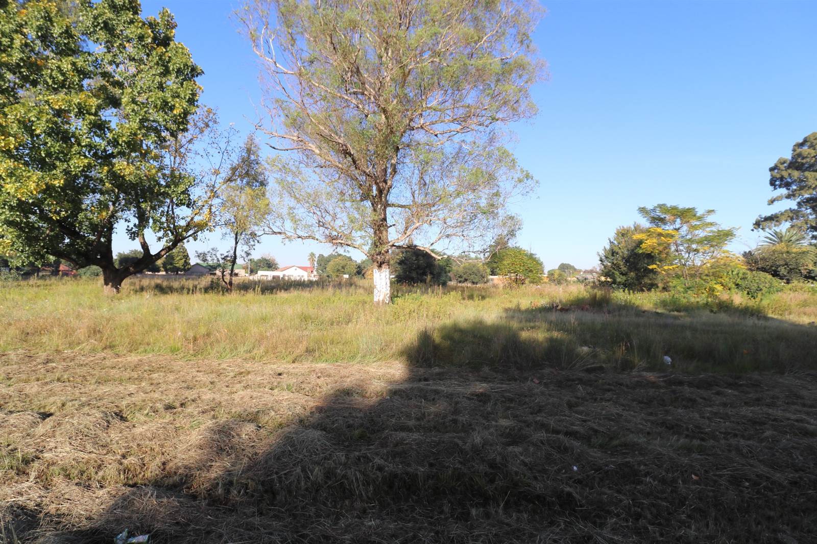 8830 m² Land available in Modder East photo number 8