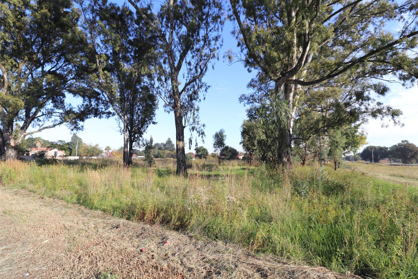 8830 m² Land available in Modder East photo number 4