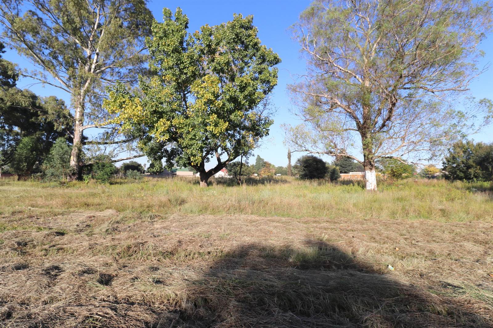 8830 m² Land available in Modder East photo number 7