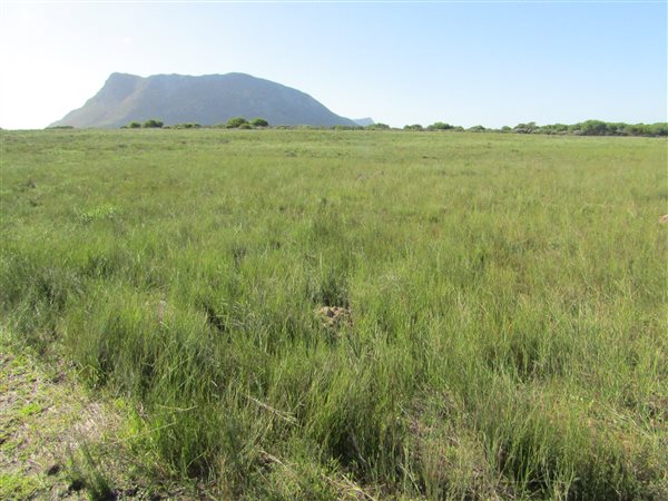 1.7 ha Land available in Kleinbaai