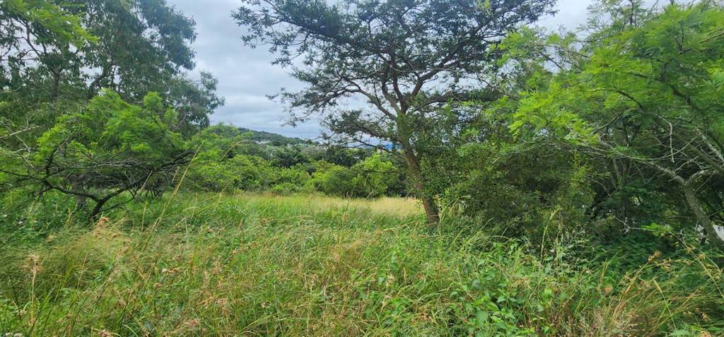 1569 m² Land available in The Rest Nature Estate photo number 8