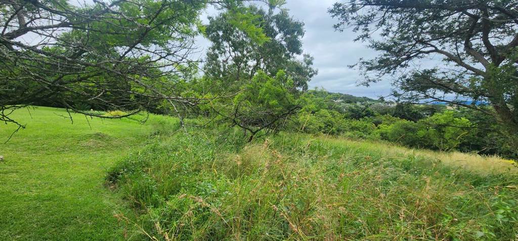 1569 m² Land available in The Rest Nature Estate photo number 5