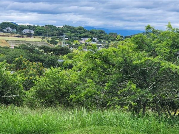 1569 m² Land available in The Rest Nature Estate