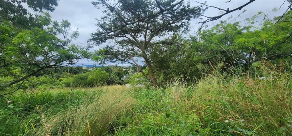 1569 m² Land available in The Rest Nature Estate photo number 6