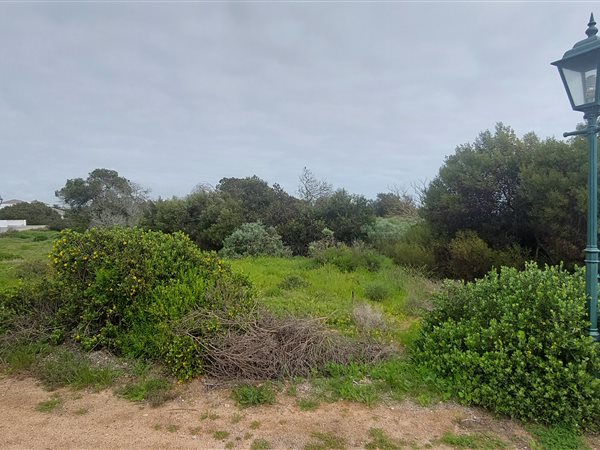439 m² Land available in Shelley Point