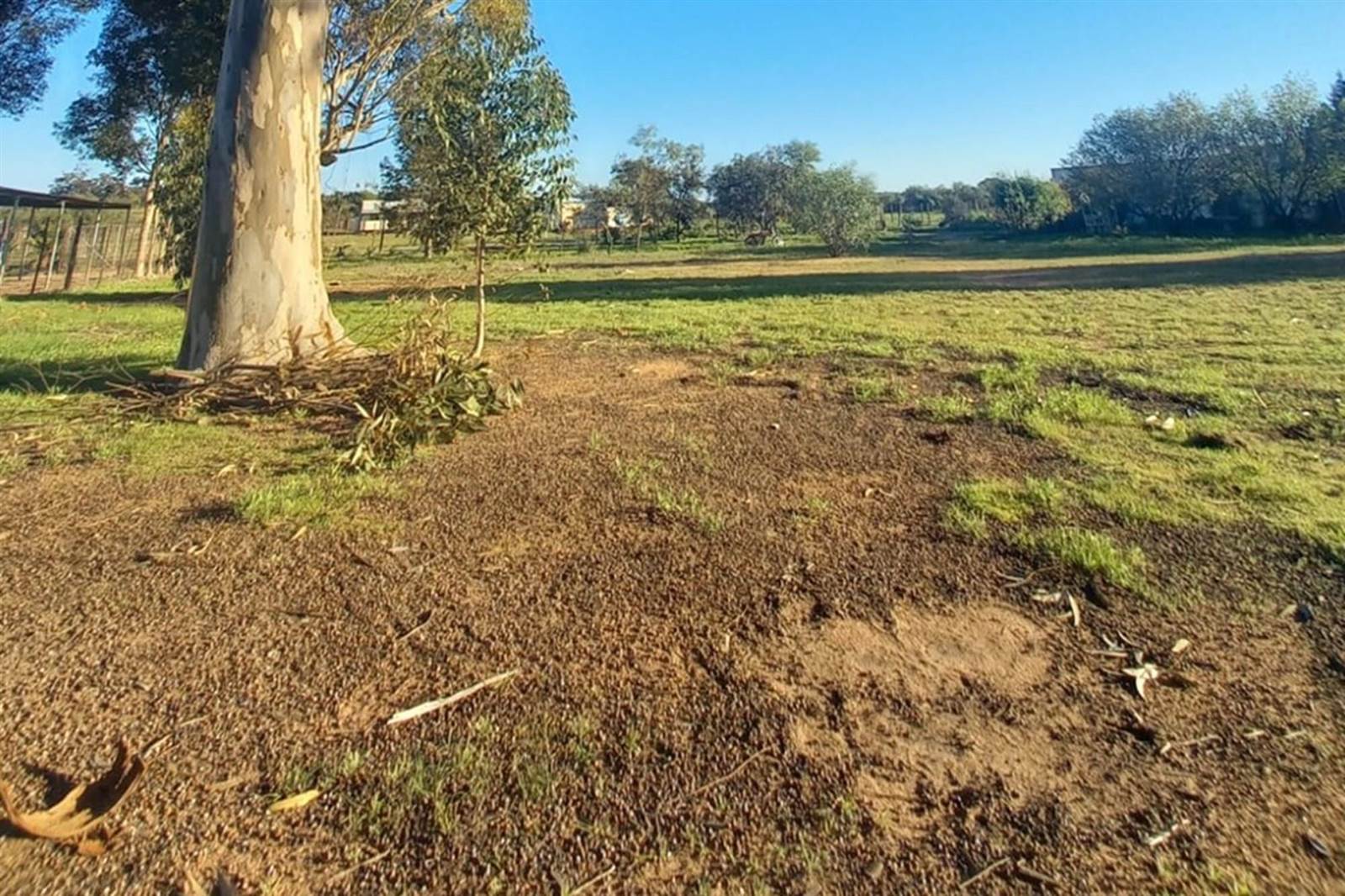 1321 m² Land available in Malmesbury photo number 2