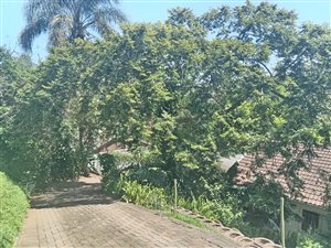 2 Bed House in St Winifreds